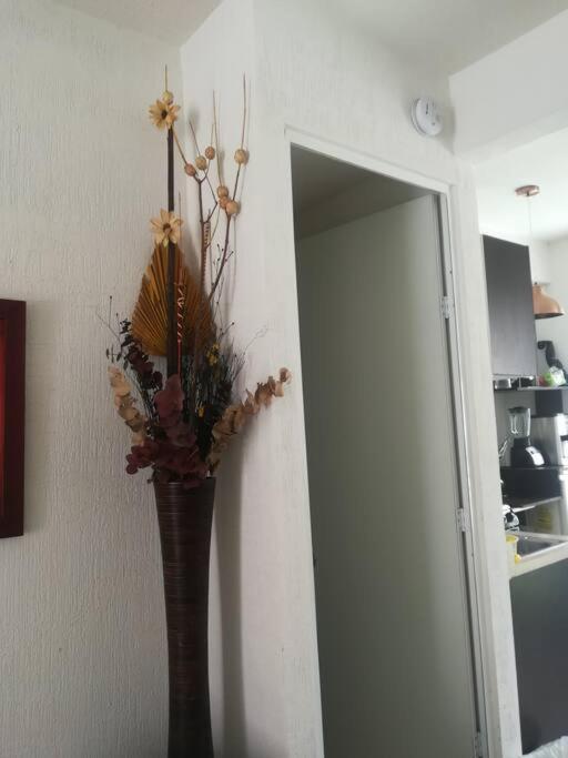 Privadas Turquesa, Nombre Del Alojamiento "Casa Niza Cancun" エクステリア 写真