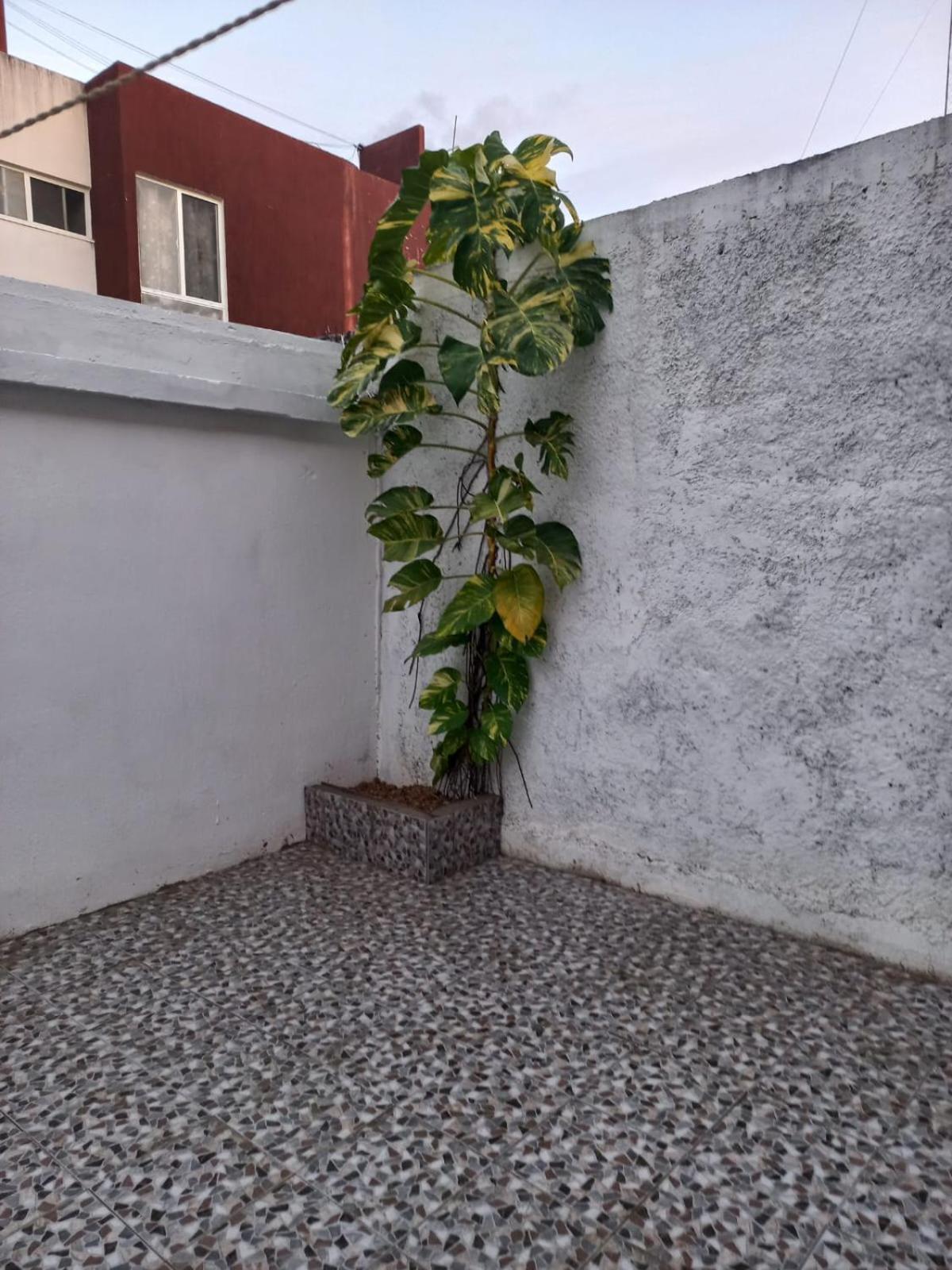Privadas Turquesa, Nombre Del Alojamiento "Casa Niza Cancun" エクステリア 写真